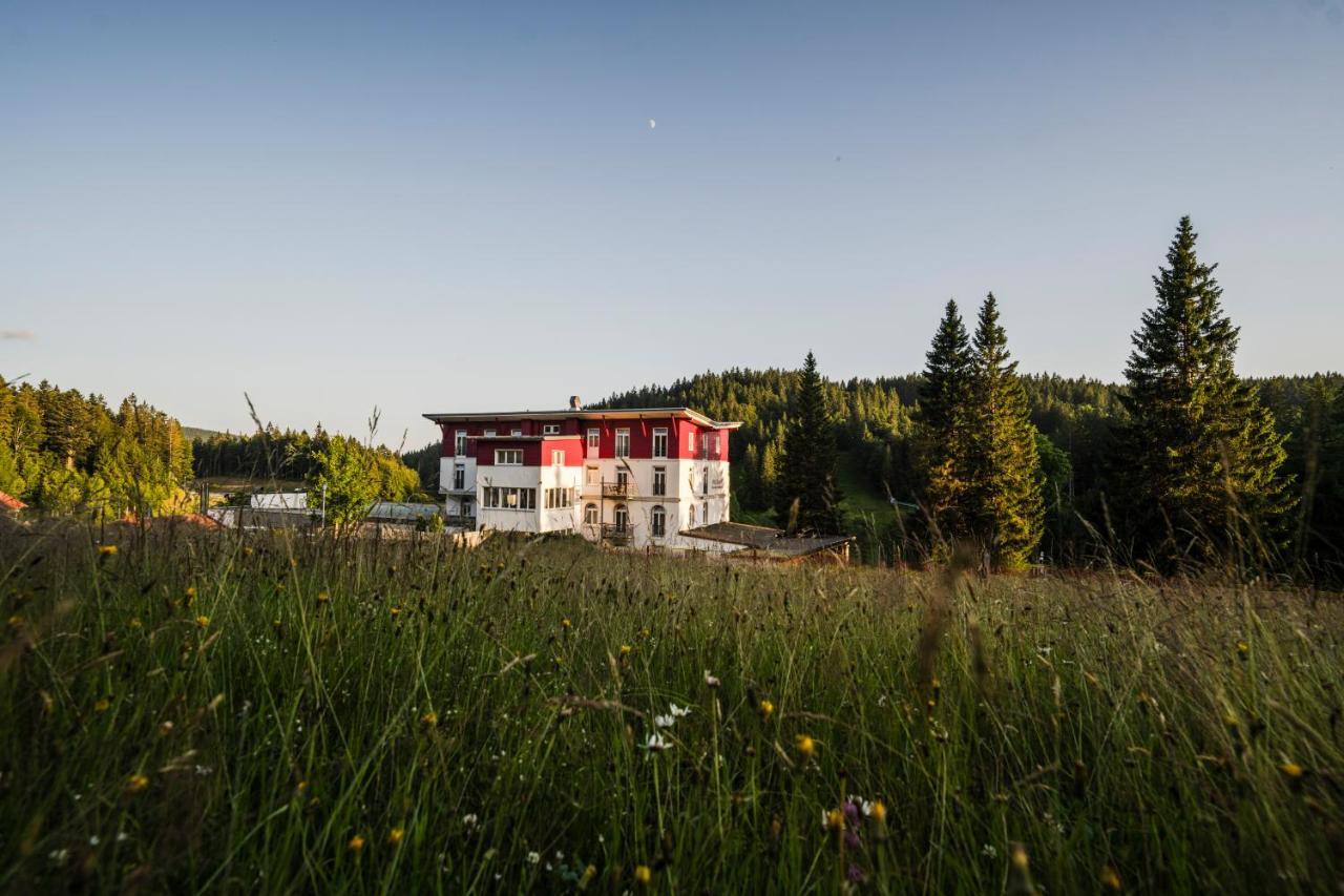 Das Waldhotel - Genuss & Wellness Am Notschreipass Todtnau Exterior photo