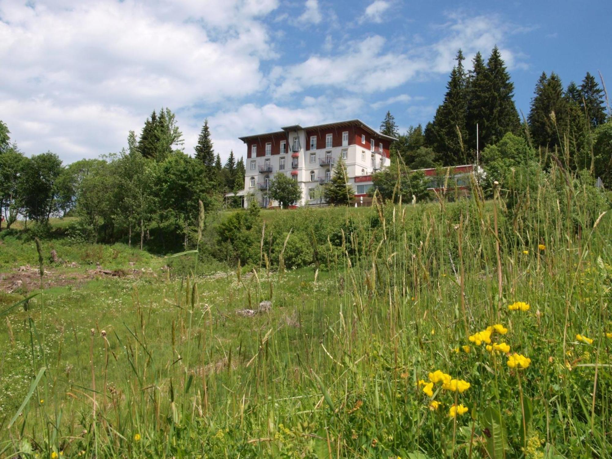Das Waldhotel - Genuss & Wellness Am Notschreipass Todtnau Exterior photo